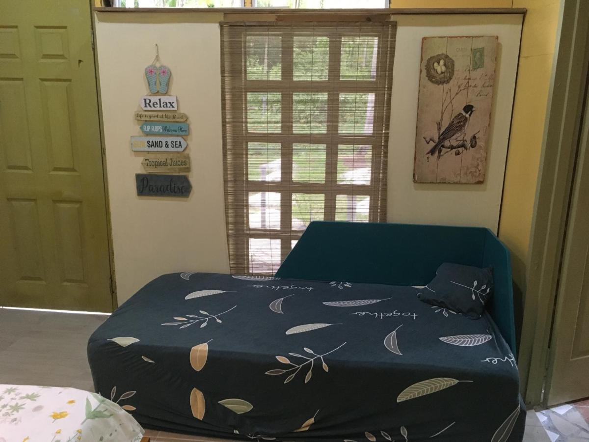环保绿色度假屋 美人鱼岛 外观 照片